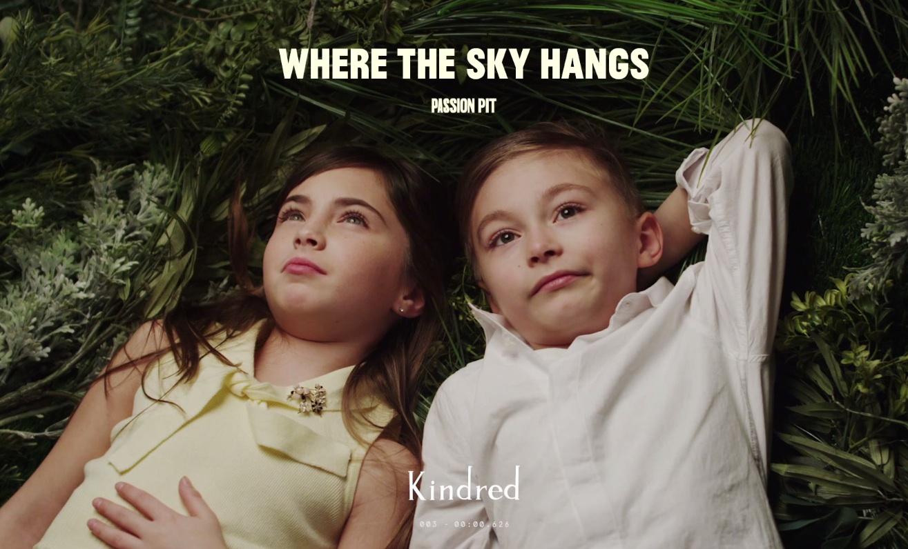 Passion Pit - Where The Sky Hangs