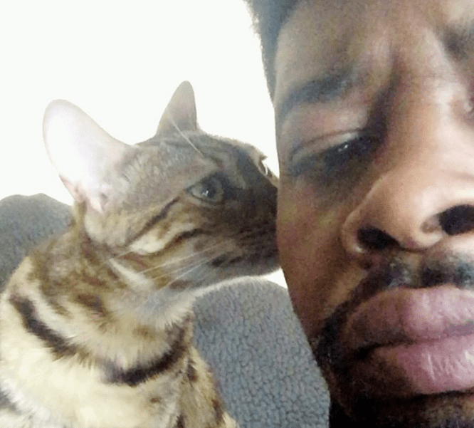 Danny Brown Cat Bros