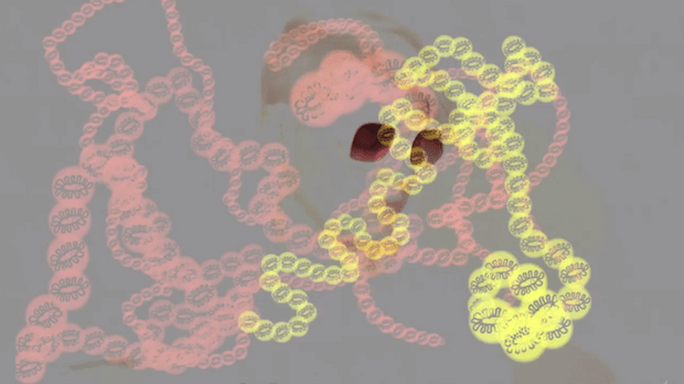 Kaki King - "Anthropomorph" Video