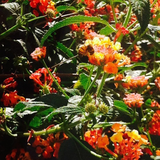 Nite Jewel - "Infinity"