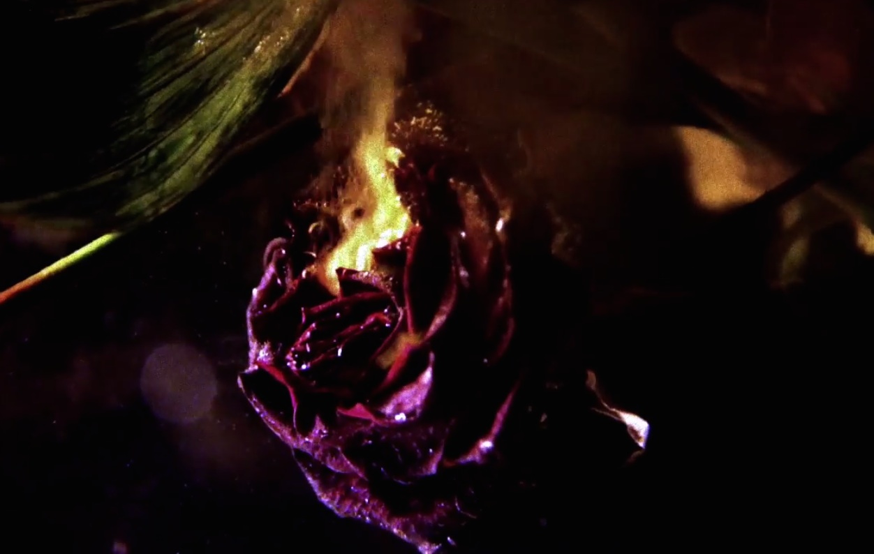 Blanck Mass - Dead Format video