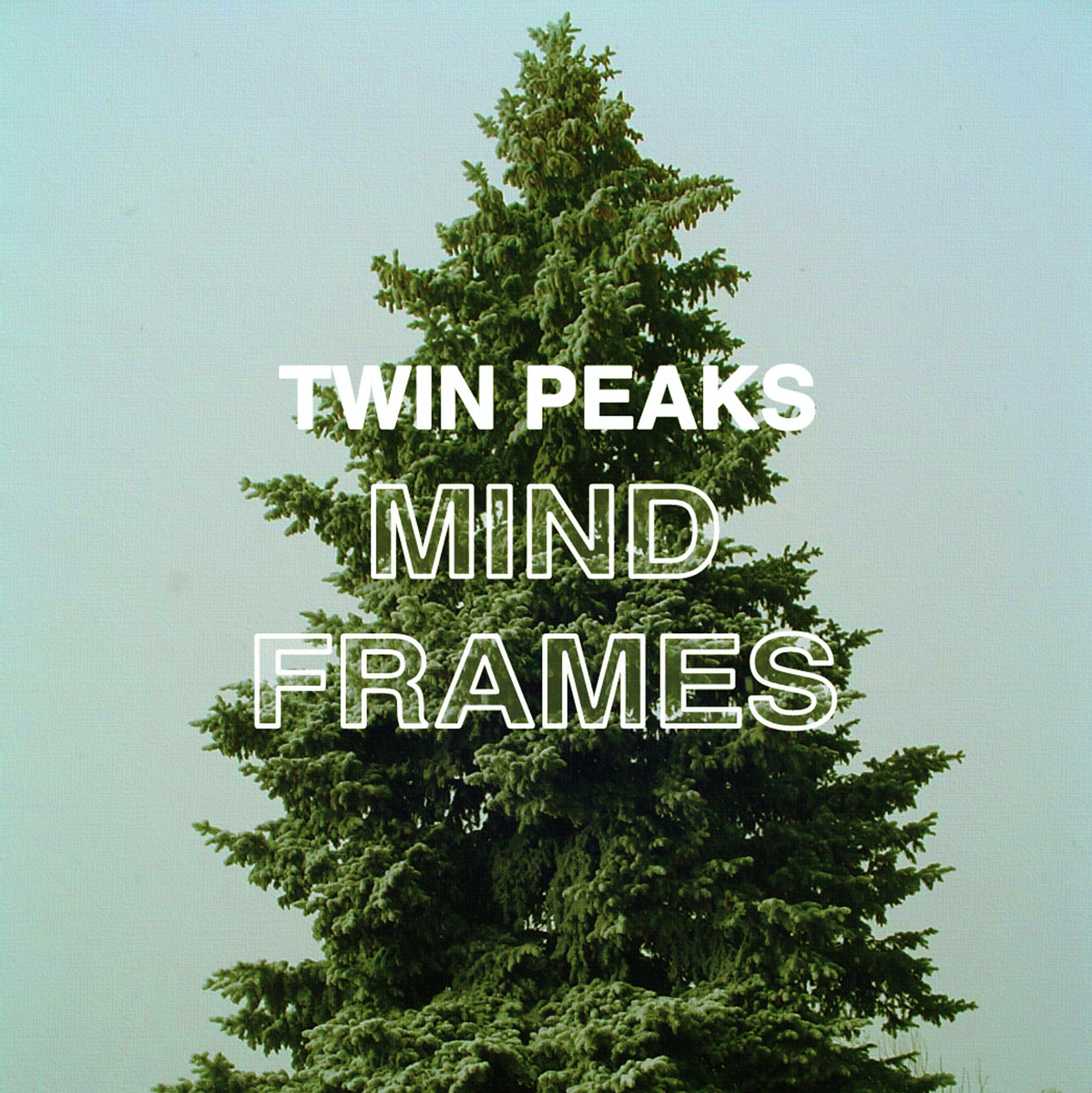 Twin Peaks Release Wild Onion Demos As Free Album Mind Frames
