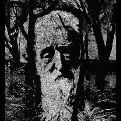 Sheer Mag - "Button Up"