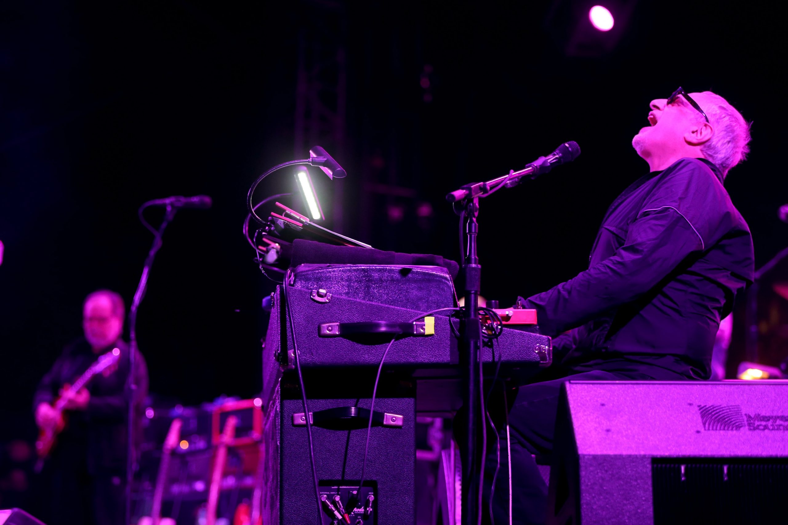 Donald Fagen Steely Dan Coachella Modern Music