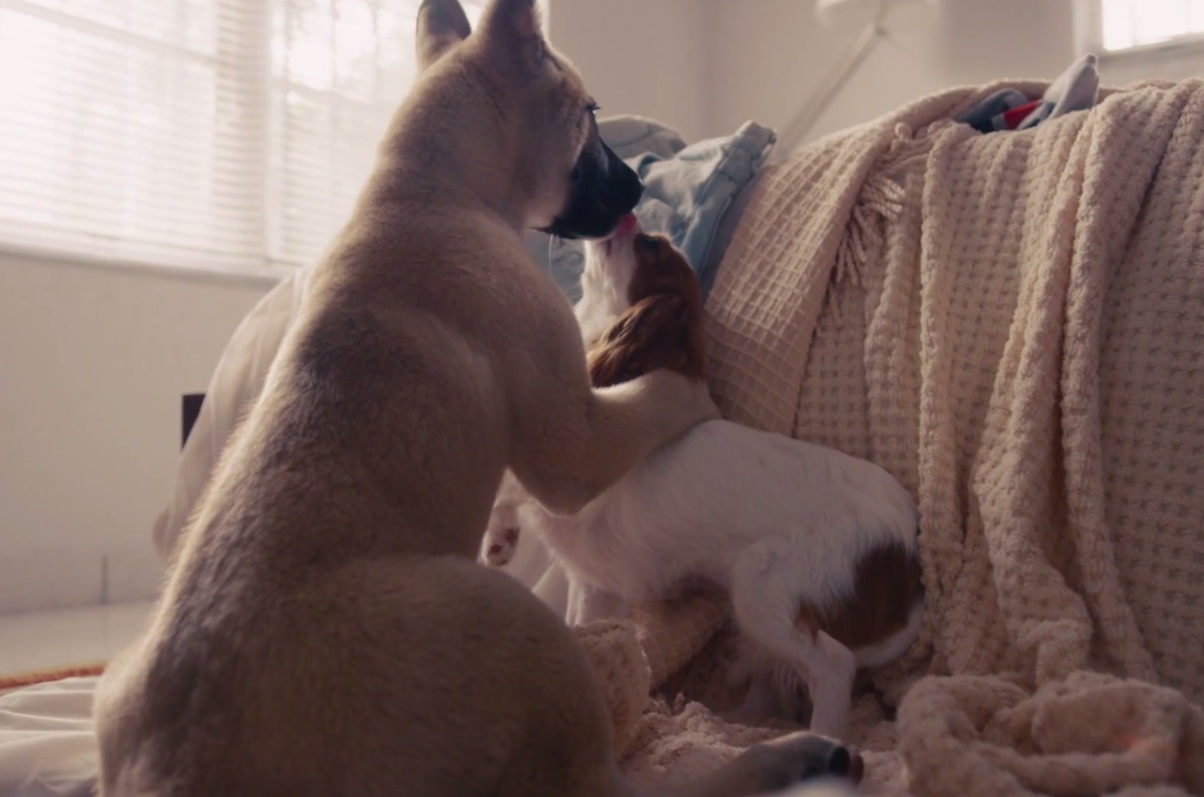 J. Cole - Wet Dreamz video