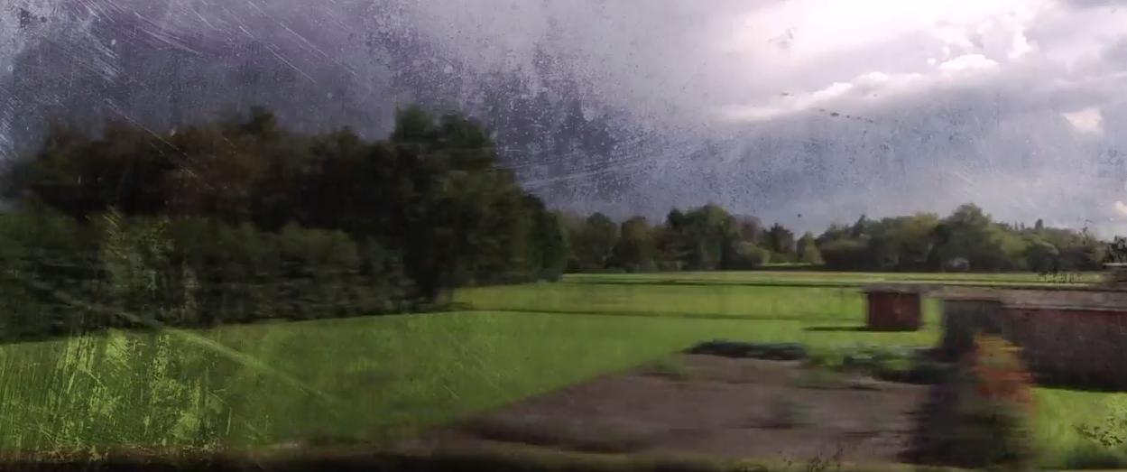 Rachel Grimes The Herald