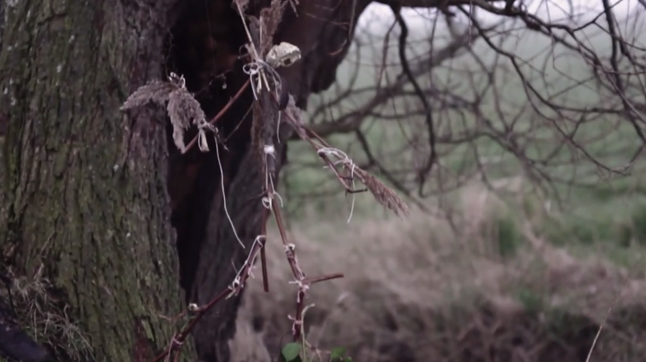 Bonnie Prince Billy Gloria Video