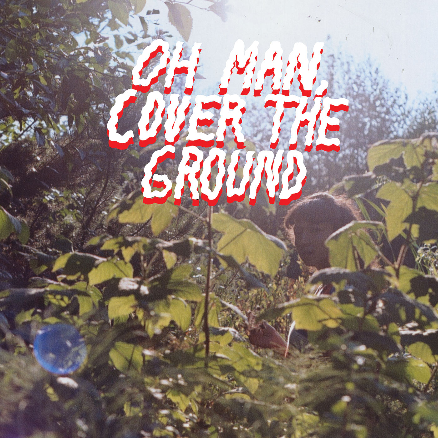 Shana Cleveland Itching Around