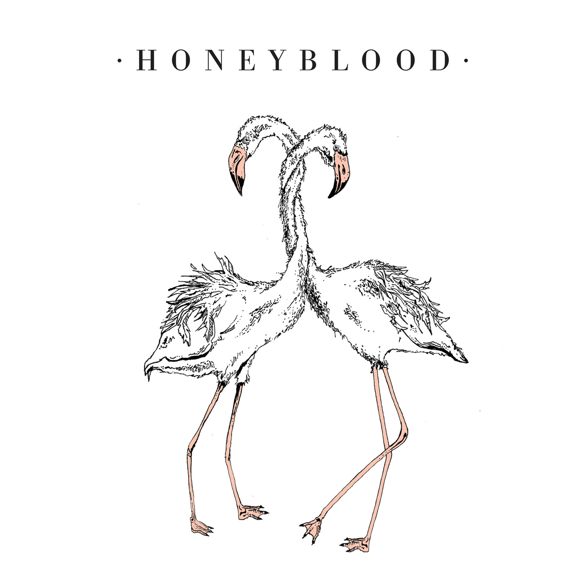 Honeyblood The Black Cloud