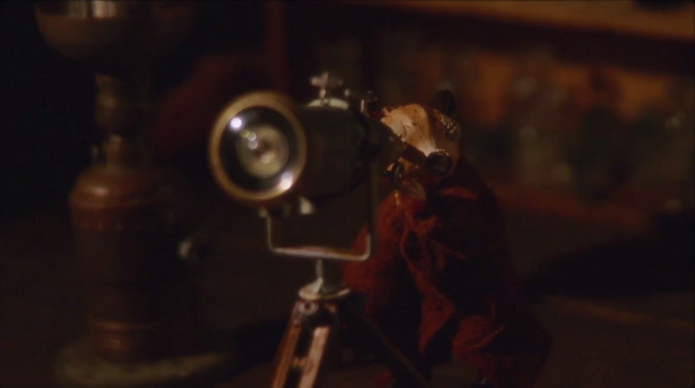 Eternal Summers - "Together Or Alone" Video