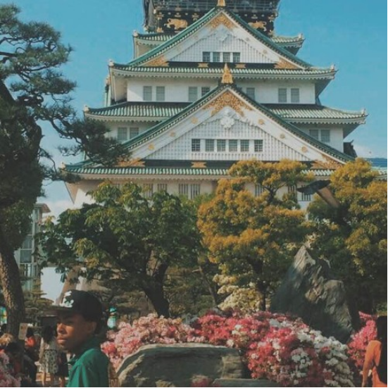 Bishop Nehru "Bishy In Japan 16 (Knowing Nothing)"