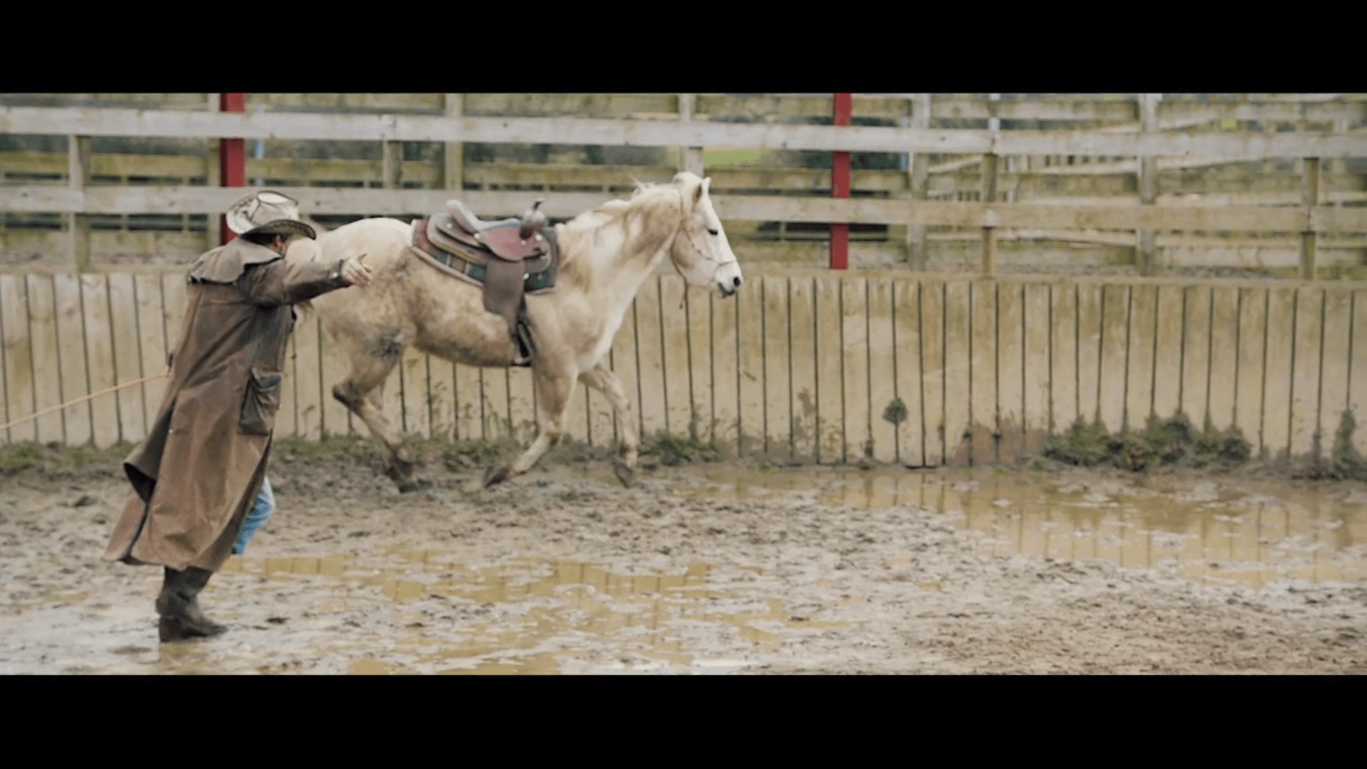 Arborist - "Twisted Arrow" (Feat. Kim Deal) Video (Stereogum Premiere)