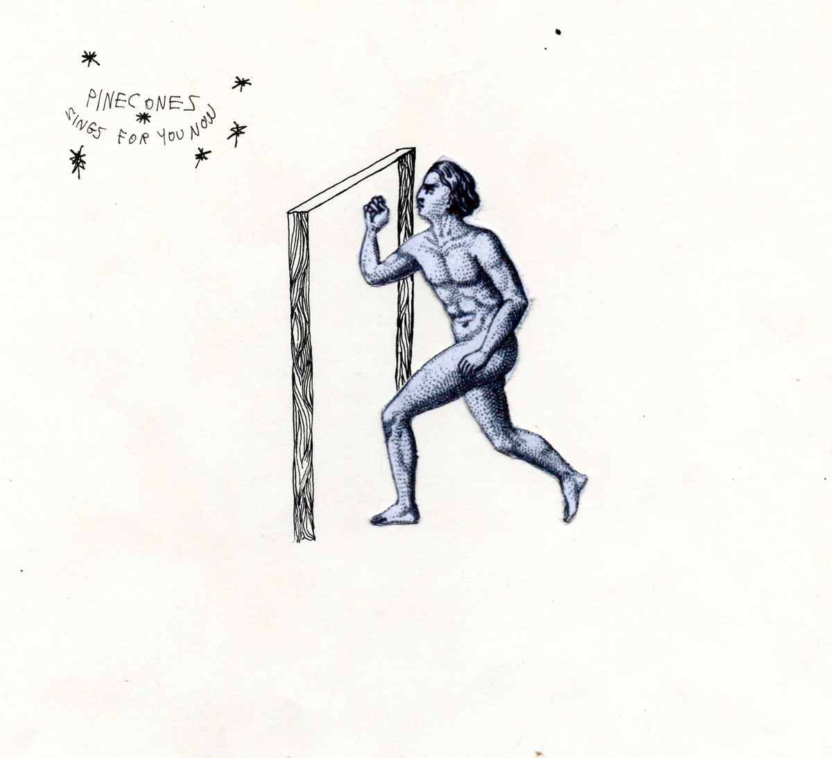 Sings For You Now Pinecones