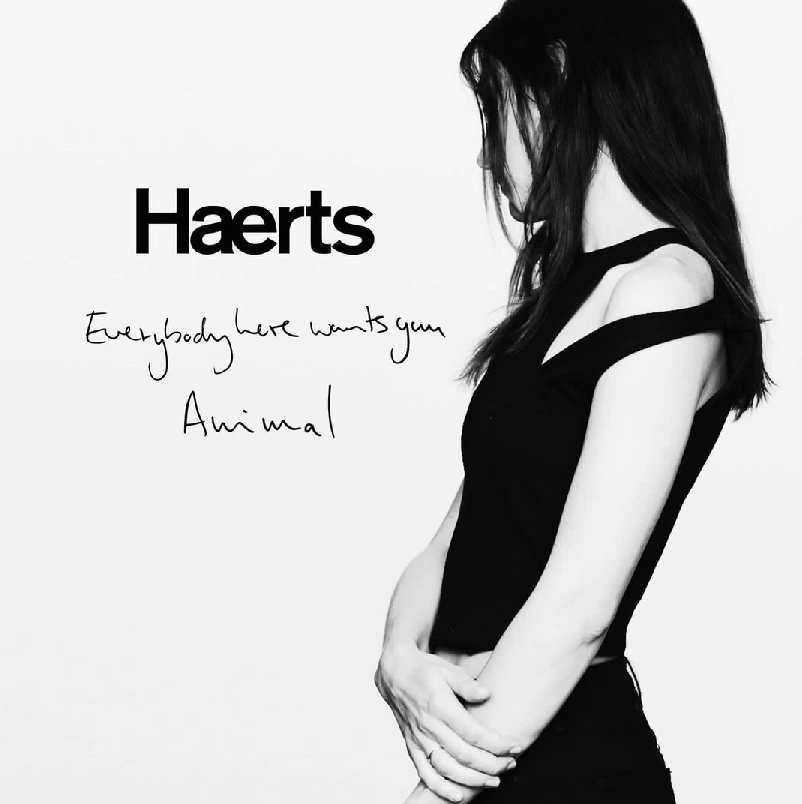 Haerts - Everybody Here Wants You