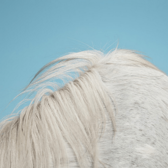 Widowspeak Girls All Yours