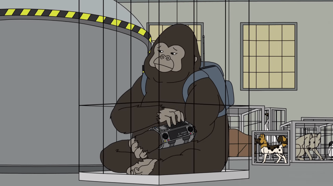 Cat Power Adult Swim Sad Gorilla