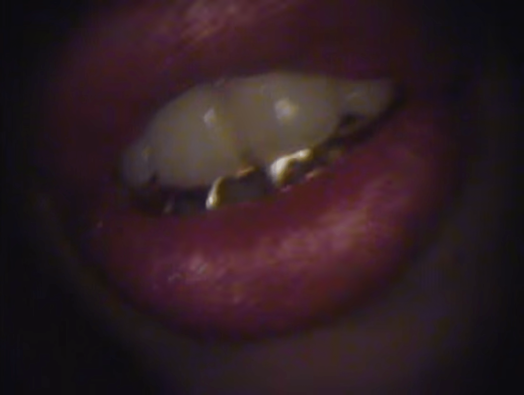 Father - "Who's Gonna Get Fucked First?" Video