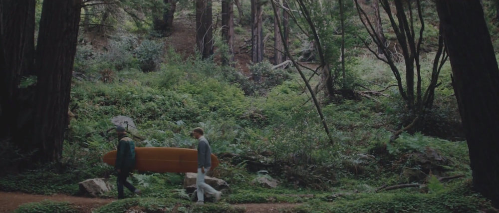 Cayucas - "Moony Eyed Walrus" Video