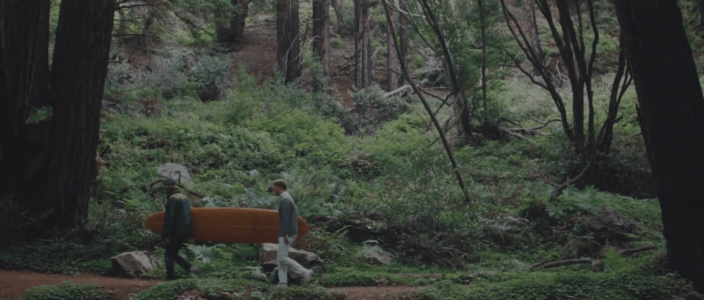 Cayucas - "Moony Eyed Walrus" Video