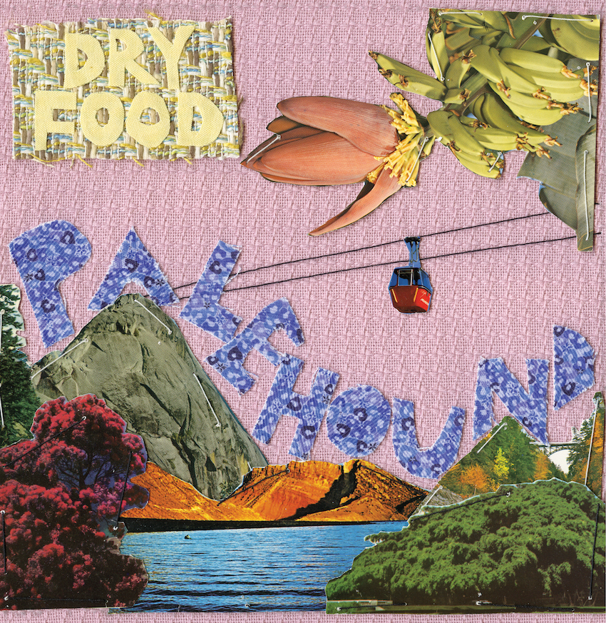 Palehound - "Molly" (Stereogum Premiere)