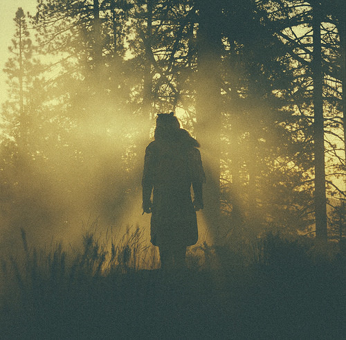 Thundercat The Beyond / Where the Giants Roam