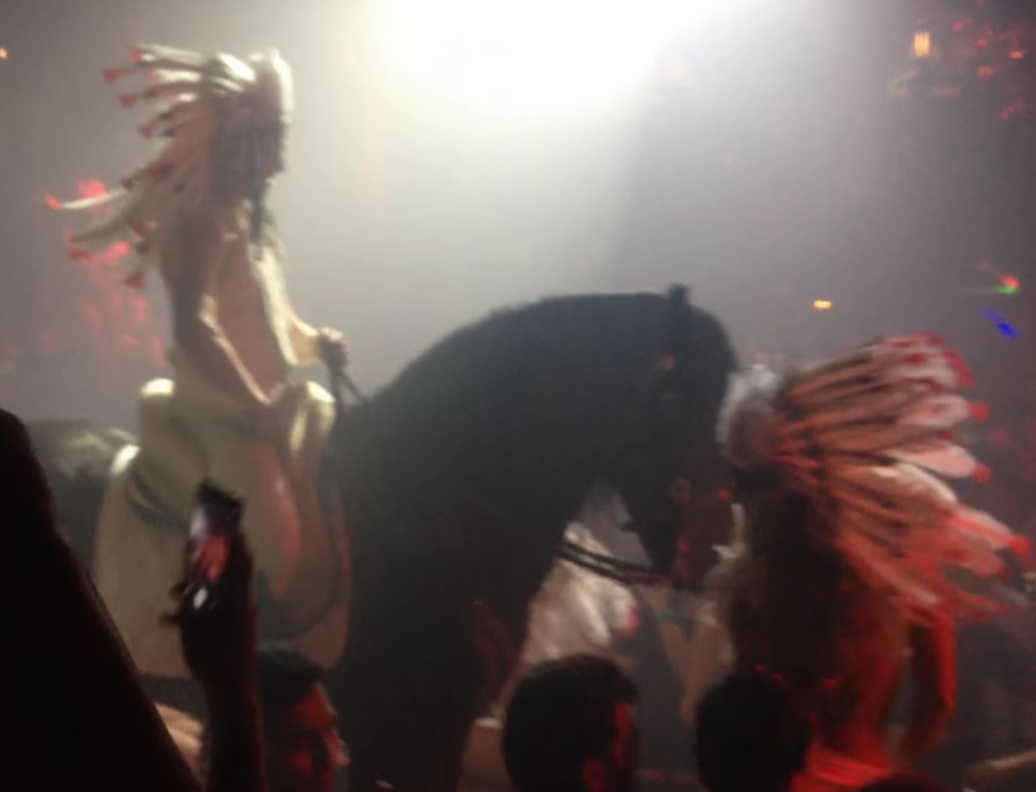 David Guetta horses