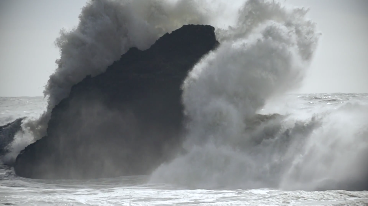 Big Noble Traveler Video