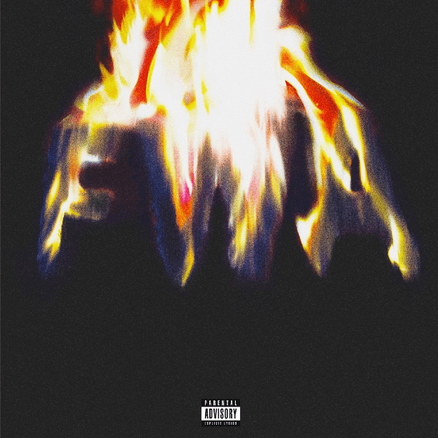 Lil Wayne FWA Free Weezy Album