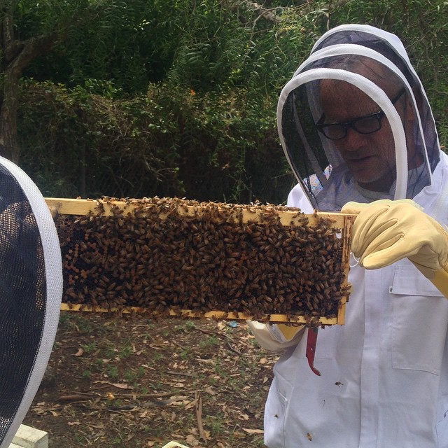 Flea Is A Beekeeper Now