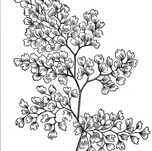 13-Minute Jam From Ryley Walker & Charles Rumback`