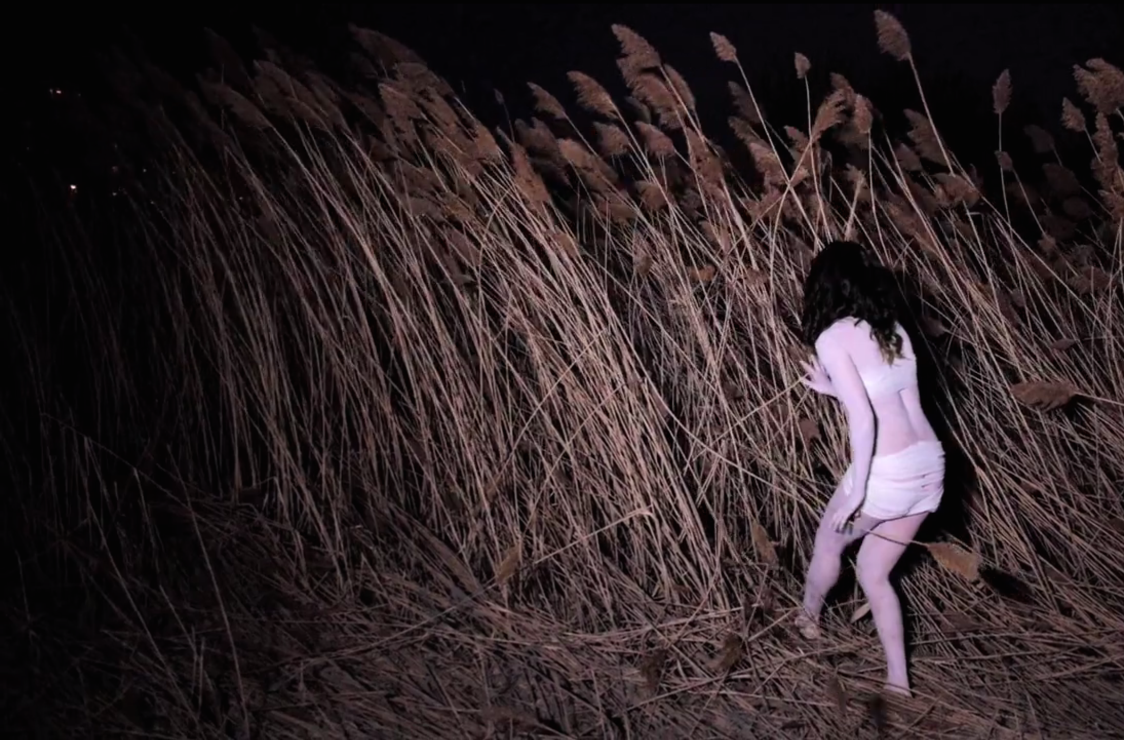 Crown Larks - "Chapel" Video (Stereogum Premiere)