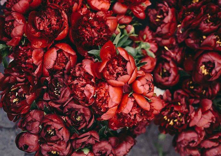 Arca Announces New Album Mutant