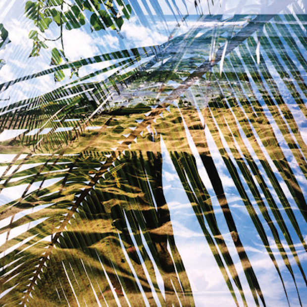 Dogs On Acid - "Ideal Decanter" (Stereogum Premiere)