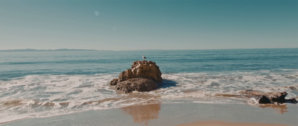 Noveller - "Pulse Point" Video