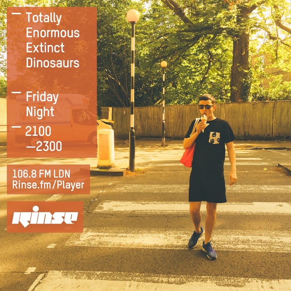 Hear Totally Enormous Extinct Dinosaurs Debut A New Song On Rinse FM