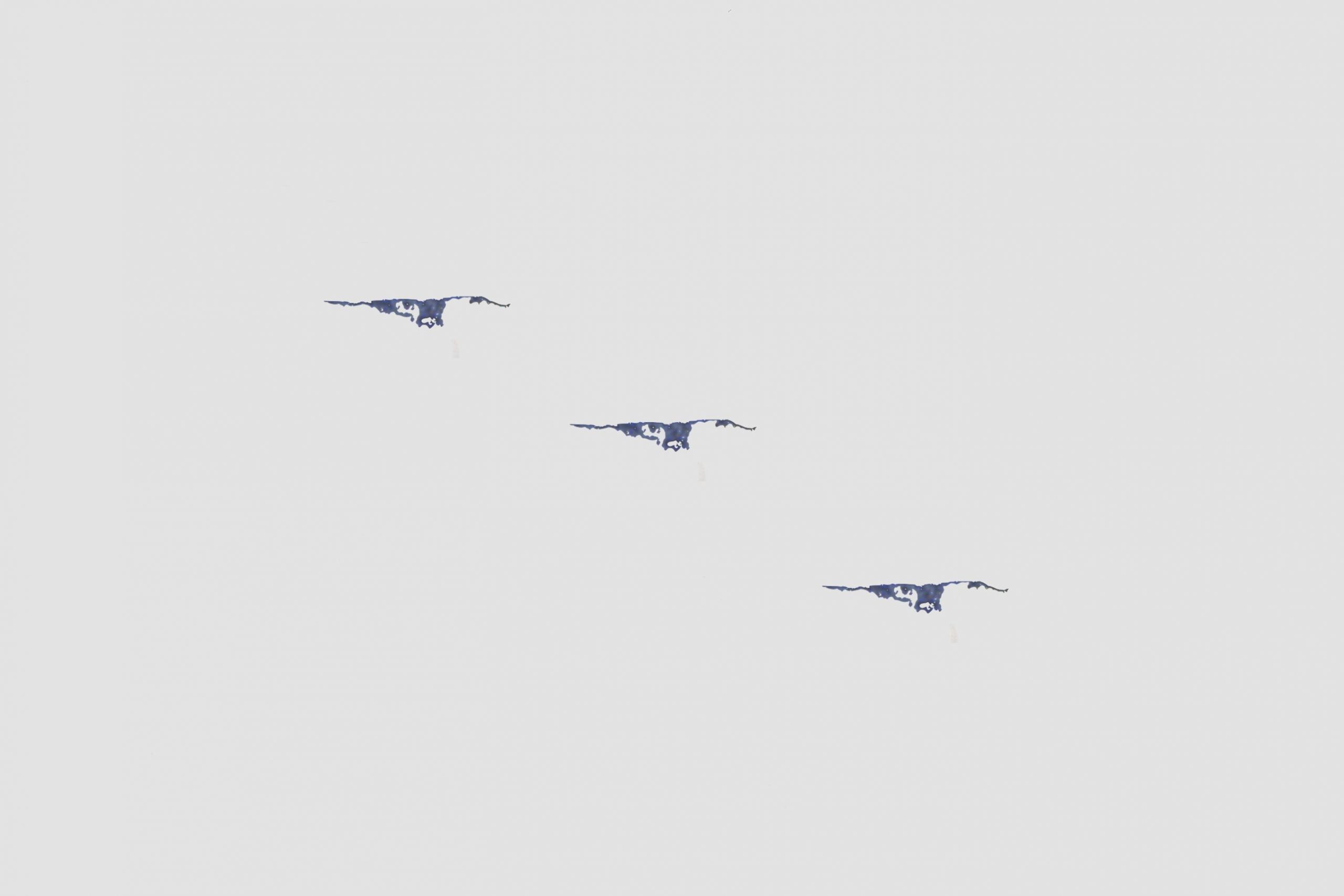 Conner Youngblood The Birds Of Finland