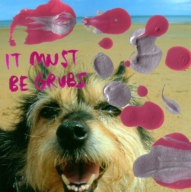 Grubs - "Nuffin" (Stereogum Premiere)