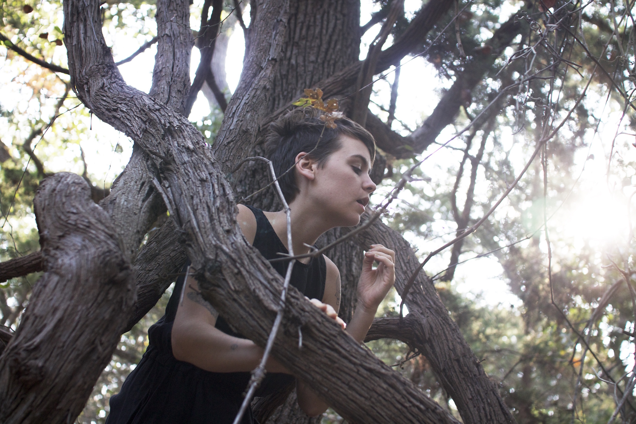 Emily Cross Archives - Stereogum