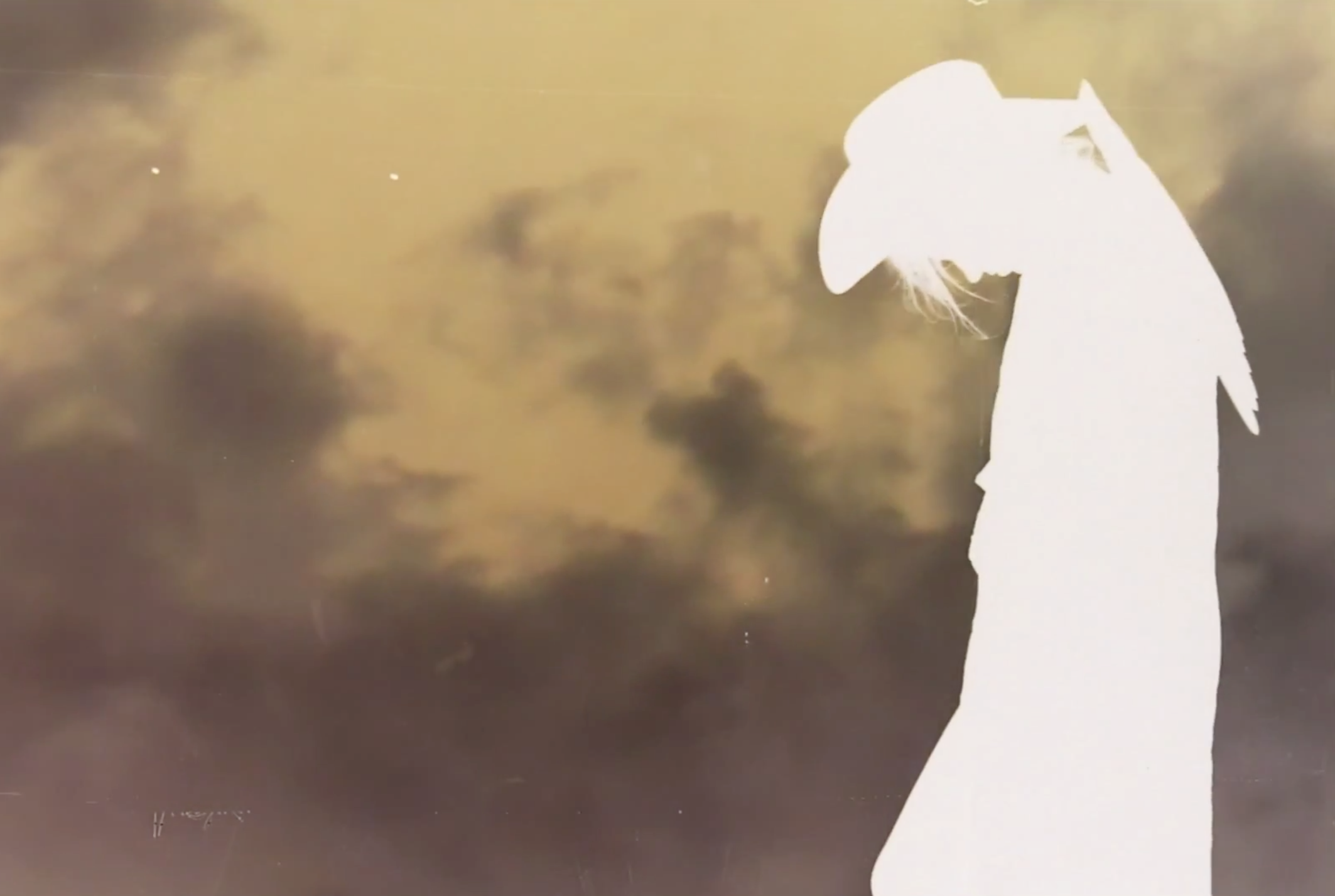 James Ferraro - "Thrash & Escalate" Video