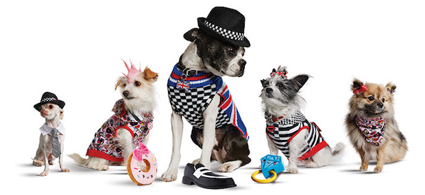 Gwen Stefani Launches Clothing Line With Petco