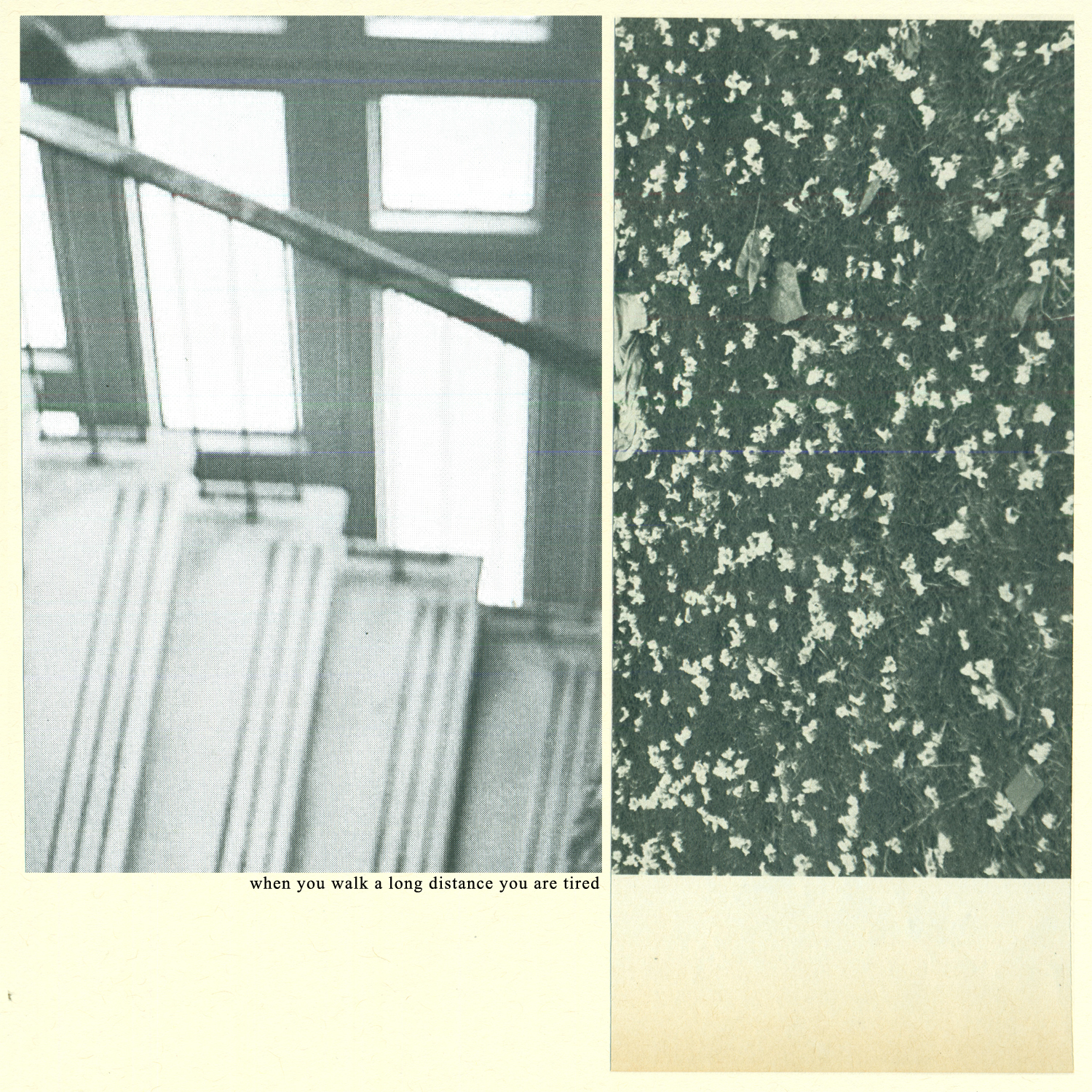 Mothers - "Too Small For Eyes"