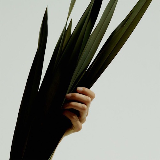 Wet - "Losing All We Know"