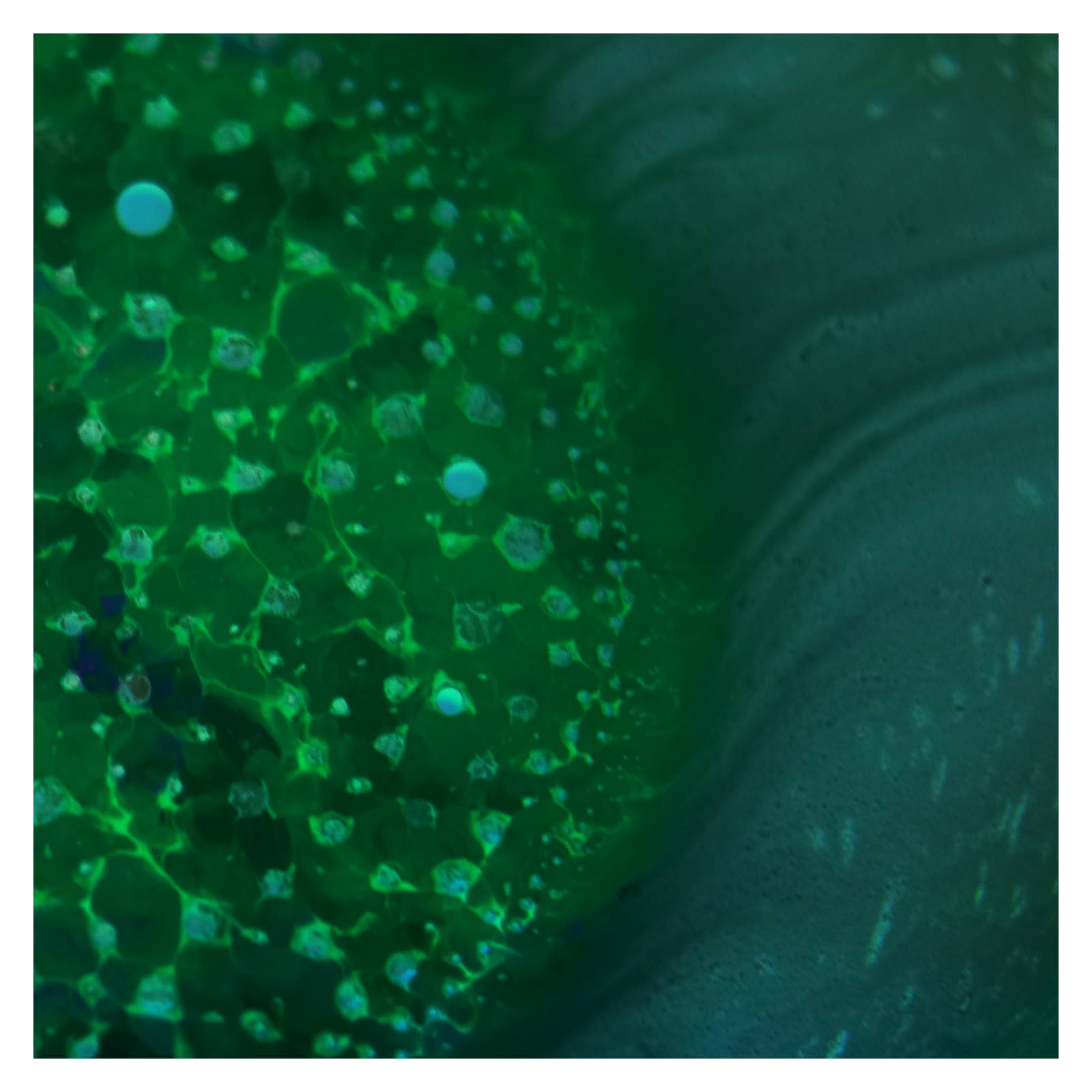 Radiohead - "Spectre"