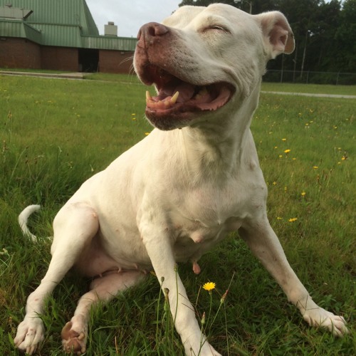 ILoveMakonnen - "Live For Real"