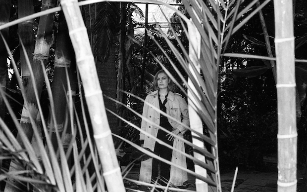 CTM - "Return Of The Hunter" (Stereogum Premiere)