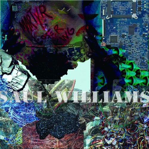 Saul Williams