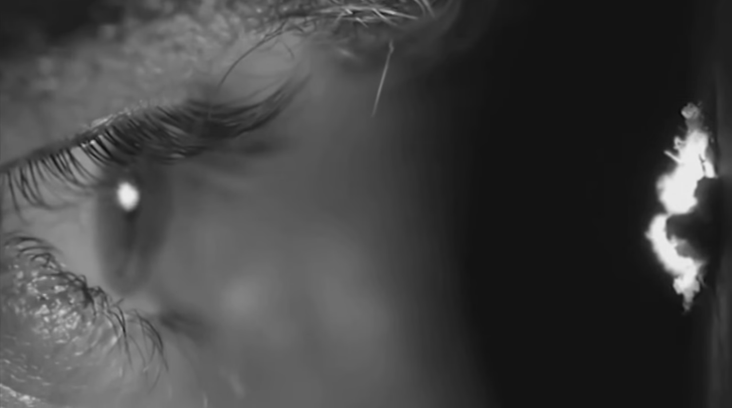 The Joy Formidable - "The Last Thing On My Mind" Video (NSFW)