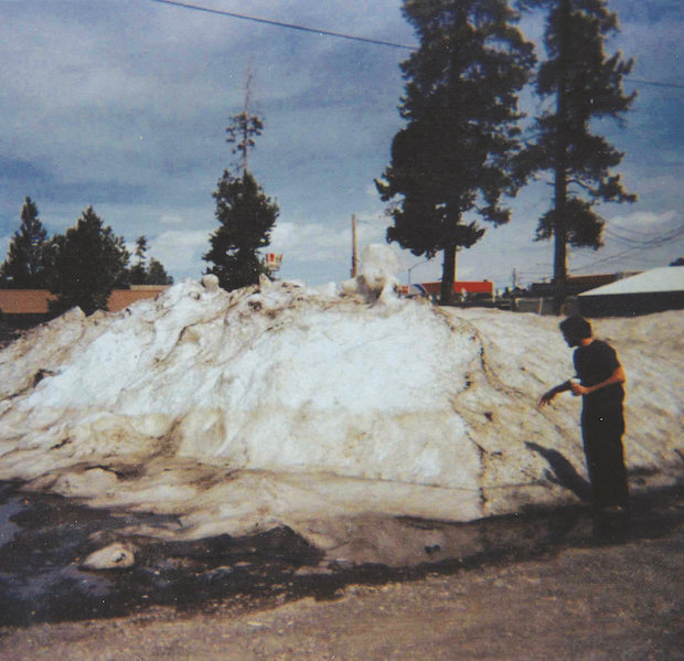 Alexei Shishkin - "Yucca Street" (Stereogum Premiere)