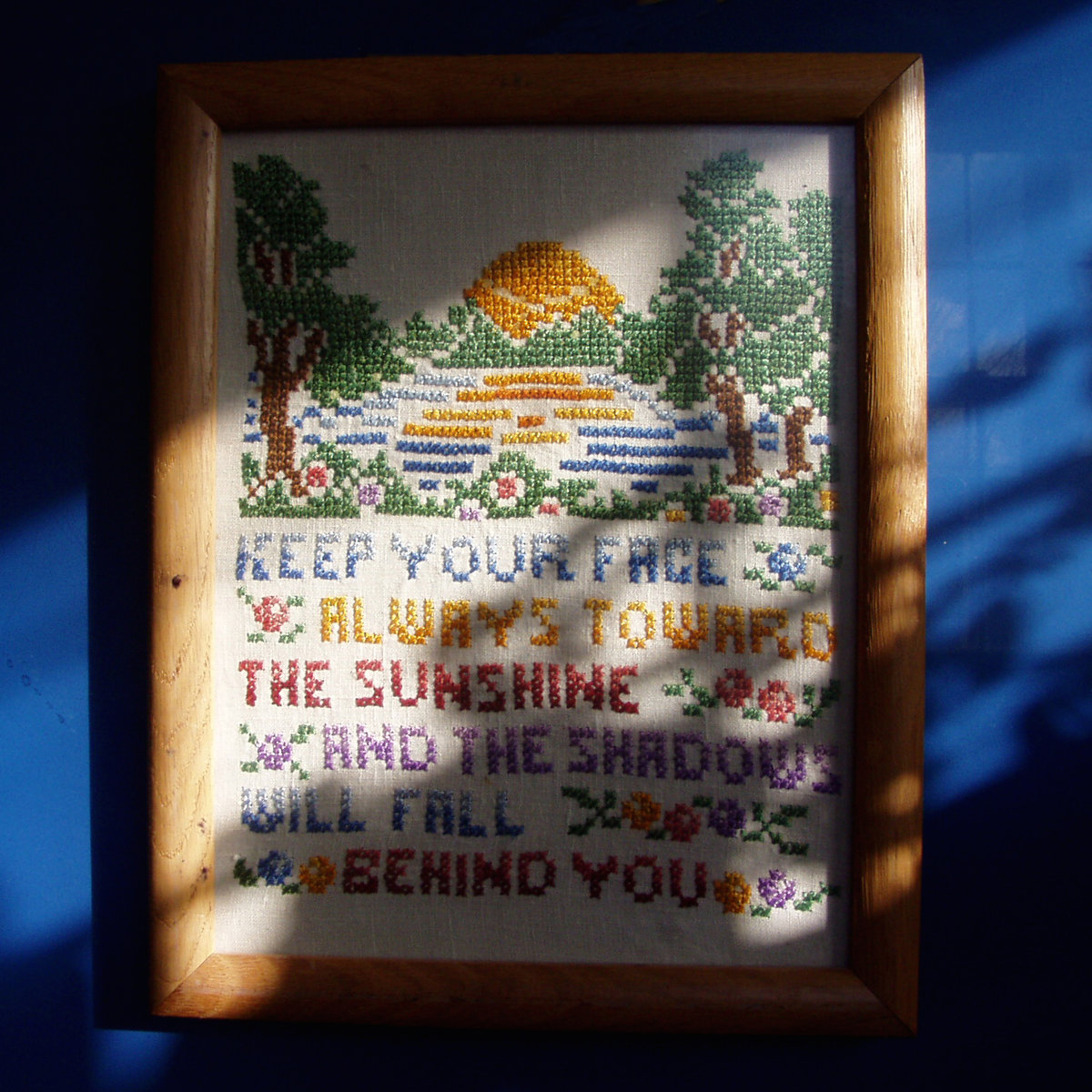 Blithe Field - "Jimbo" Video