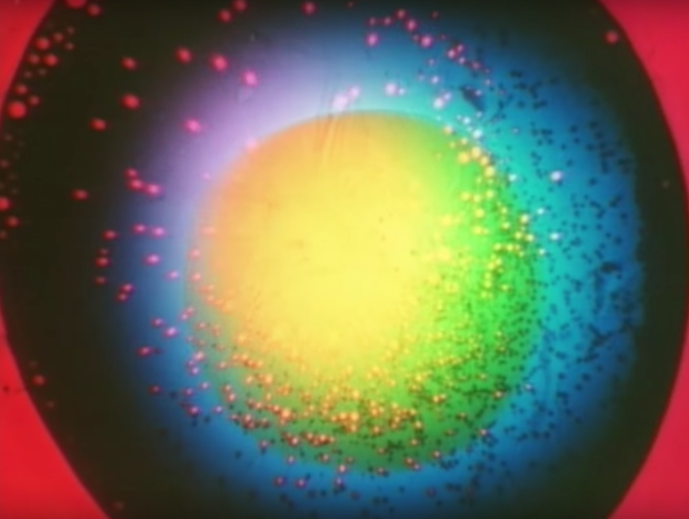 Cavern Of Anti-Matter - "Liquid Gate" (Feat. Bradford Cox) Video